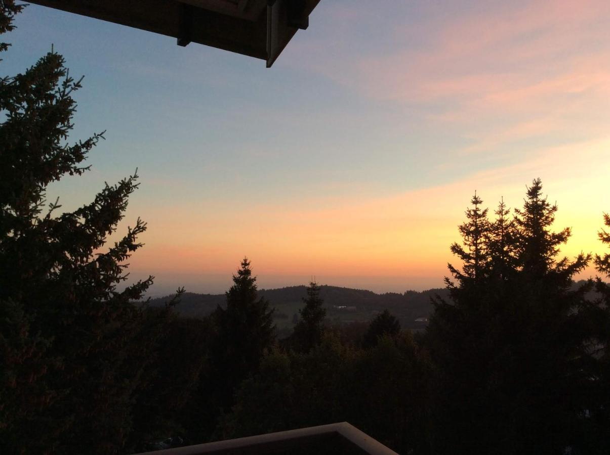 Wellness Apartment Sankt Englmar Dış mekan fotoğraf